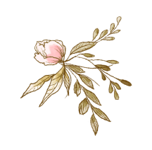 Decoration-05.png